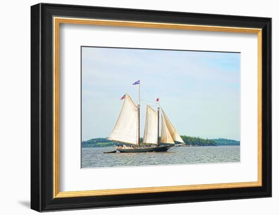 Windjammer Schooner called the Stephen Taber, Rockland, Maine, USA-Bill Bachmann-Framed Photographic Print