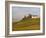 Windmill and Vineyards, Verzenay, Champagne Ardenne, Marne, France-Walter Bibikow-Framed Photographic Print