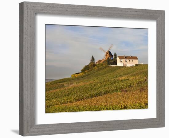 Windmill and Vineyards, Verzenay, Champagne Ardenne, Marne, France-Walter Bibikow-Framed Photographic Print