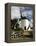 Windmill, Antigua, Fuerteventura, Canary Islands-Peter Thompson-Framed Premier Image Canvas