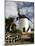 Windmill, Antigua, Fuerteventura, Canary Islands-Peter Thompson-Mounted Photographic Print