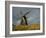 Windmill at Open Air Museum, Skagen, North Jutland, Denmark, Scandinavia, Europe-Ken Gillham-Framed Photographic Print