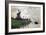 Windmill at Zaandam (Netherlands), 1871-Claude Monet-Framed Giclee Print