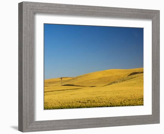 Windmill in fields during harvest-Terry Eggers-Framed Photographic Print