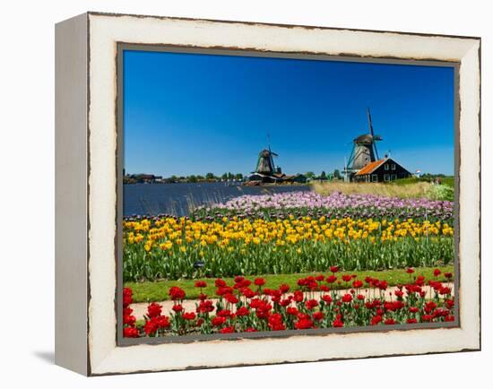 Windmill in Holland-lucasantilli-Framed Premier Image Canvas