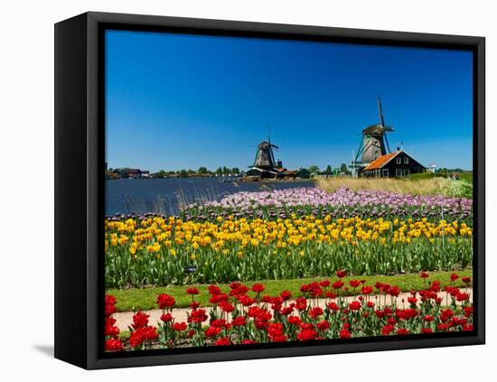 Windmill in Holland-lucasantilli-Framed Premier Image Canvas