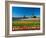 Windmill in Holland-lucasantilli-Framed Photographic Print