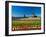 Windmill in Holland-lucasantilli-Framed Photographic Print