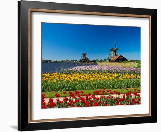 Windmill in Holland-lucasantilli-Framed Photographic Print