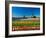 Windmill in Holland-lucasantilli-Framed Photographic Print