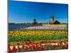 Windmill in Holland-lucasantilli-Mounted Photographic Print