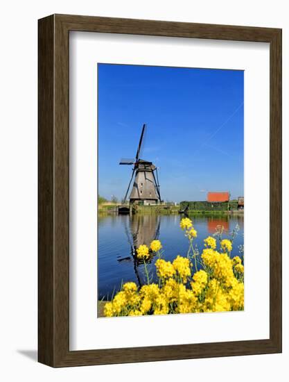 Windmill in Kinderdijk, UNESCO World Heritage Site, South Holland, Netherlands, Europe-Hans-Peter Merten-Framed Photographic Print