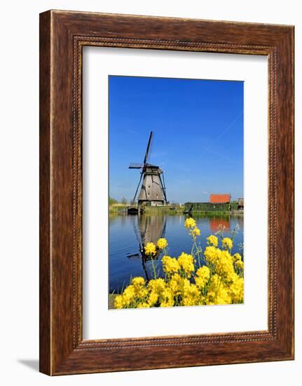 Windmill in Kinderdijk, UNESCO World Heritage Site, South Holland, Netherlands, Europe-Hans-Peter Merten-Framed Photographic Print