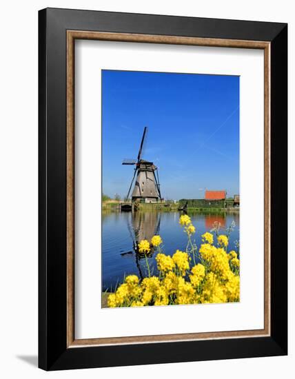 Windmill in Kinderdijk, UNESCO World Heritage Site, South Holland, Netherlands, Europe-Hans-Peter Merten-Framed Photographic Print