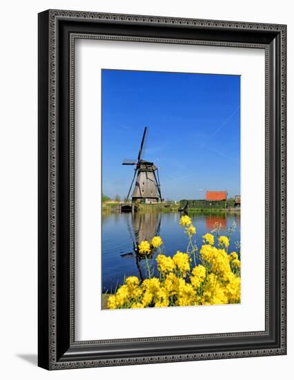 Windmill in Kinderdijk, UNESCO World Heritage Site, South Holland, Netherlands, Europe-Hans-Peter Merten-Framed Photographic Print