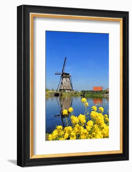 Windmill in Kinderdijk, UNESCO World Heritage Site, South Holland, Netherlands, Europe-Hans-Peter Merten-Framed Photographic Print