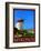 Windmill in Mykonos Greece 2-Anna Siena-Framed Giclee Print