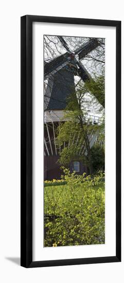 Windmill, Lisse, Holland-Anna Miller-Framed Photographic Print