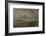 Windmill Near Brighton, East Sussex-John Constable-Framed Giclee Print