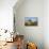 Windmill Near Tefia, Fuerteventura, Canary Islands-Peter Thompson-Photographic Print displayed on a wall