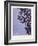 Windmill Palm-Annika John-Framed Giclee Print