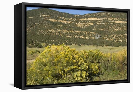 Windmill Pumping Water for Livestock, New Mexico-null-Framed Premier Image Canvas