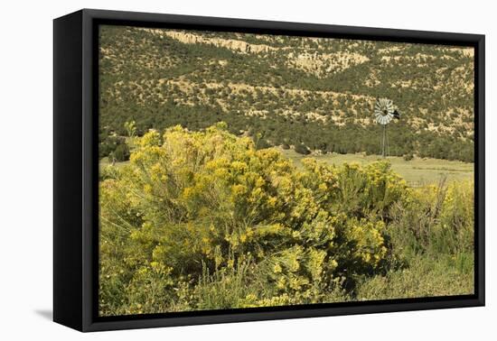 Windmill Pumping Water for Livestock, New Mexico-null-Framed Premier Image Canvas