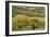 Windmill Pumping Water for Livestock, New Mexico-null-Framed Photographic Print