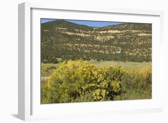 Windmill Pumping Water for Livestock, New Mexico-null-Framed Photographic Print