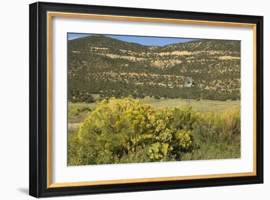 Windmill Pumping Water for Livestock, New Mexico-null-Framed Photographic Print