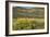 Windmill Pumping Water for Livestock, New Mexico-null-Framed Photographic Print