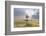 Windmill Sunset-Annie Bailey Art-Framed Photographic Print