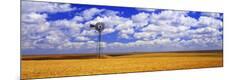 Photographic Print