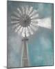 Windmill-Kimberly Allen-Mounted Photo