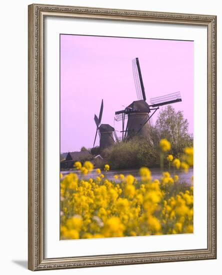 Windmills Along the Canal in Kinderdijk, Netherlands-Keren Su-Framed Photographic Print