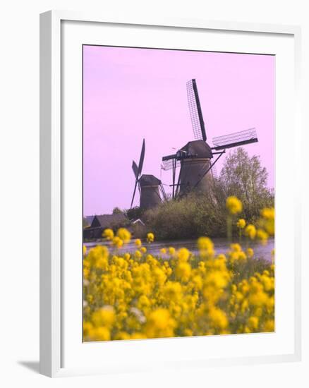 Windmills Along the Canal in Kinderdijk, Netherlands-Keren Su-Framed Photographic Print