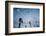 Windmills and clouds at dusk, Las Cruces, New Mexico, USA-Scott T. Smith-Framed Photographic Print