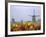 Windmills and Tulips Along the Canal in Kinderdijk, Netherlands-Keren Su-Framed Photographic Print