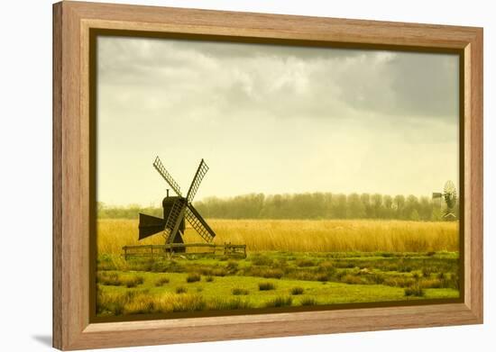 Windmills in a Field in the Netherlands, One Old and One New-Sheila Haddad-Framed Premier Image Canvas