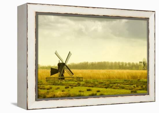 Windmills in a Field in the Netherlands, One Old and One New-Sheila Haddad-Framed Premier Image Canvas