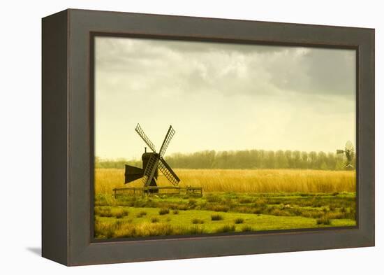 Windmills in a Field in the Netherlands, One Old and One New-Sheila Haddad-Framed Premier Image Canvas