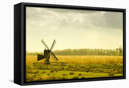 Windmills in a Field in the Netherlands, One Old and One New-Sheila Haddad-Framed Premier Image Canvas