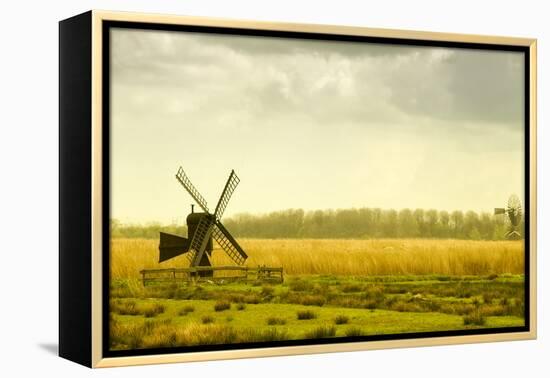 Windmills in a Field in the Netherlands, One Old and One New-Sheila Haddad-Framed Premier Image Canvas