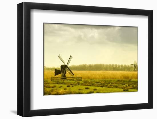 Windmills in a Field in the Netherlands, One Old and One New-Sheila Haddad-Framed Photographic Print