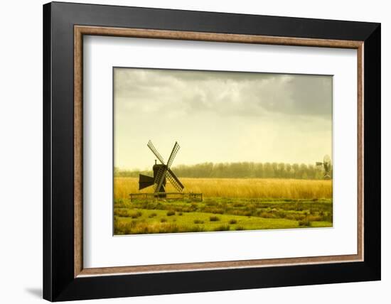 Windmills in a Field in the Netherlands, One Old and One New-Sheila Haddad-Framed Photographic Print