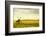 Windmills in a Field in the Netherlands, One Old and One New-Sheila Haddad-Framed Photographic Print