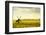 Windmills in a Field in the Netherlands, One Old and One New-Sheila Haddad-Framed Photographic Print