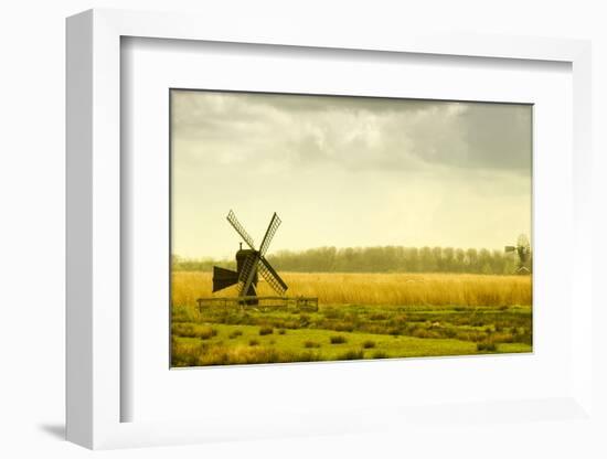 Windmills in a Field in the Netherlands, One Old and One New-Sheila Haddad-Framed Photographic Print