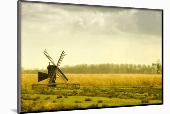 Windmills in a Field in the Netherlands, One Old and One New-Sheila Haddad-Mounted Photographic Print