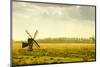 Windmills in a Field in the Netherlands, One Old and One New-Sheila Haddad-Mounted Photographic Print